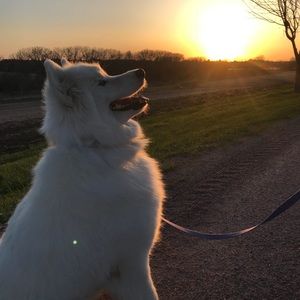 Meet your Posher, Kari